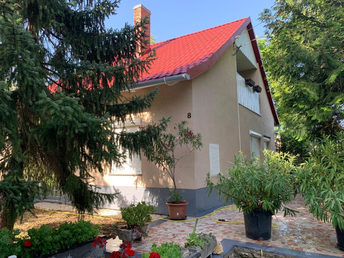Pellegrini Apartman Balatonakali Buitenkant foto